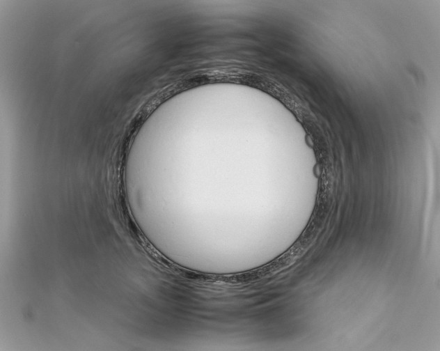 X0000113070755200908281010