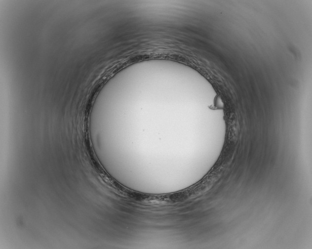 X0000113070756200908281010