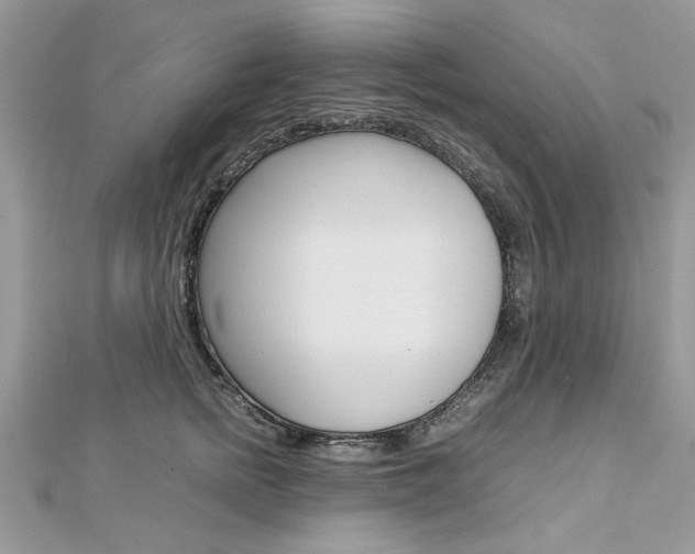 X0000113070758200908281010