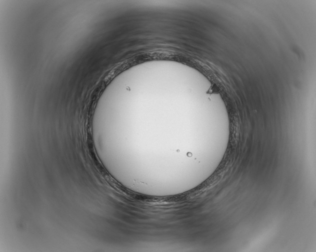 X0000113070759200908281010