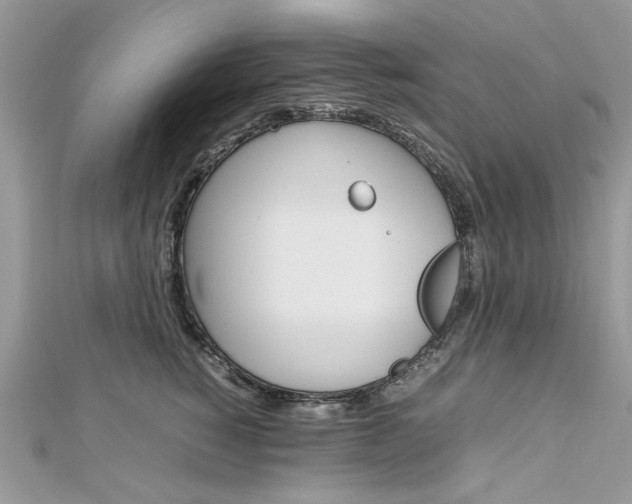 X0000113070760200908281010