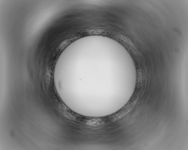 X0000113070761200908281010