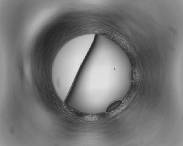 X0000113070762200908281010