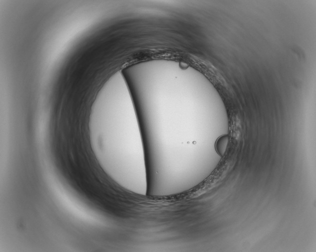 X0000113070763200908281010