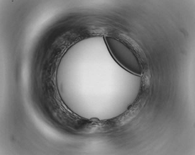 X0000113070764200908281010