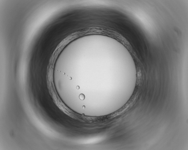 X0000113070765200908281010