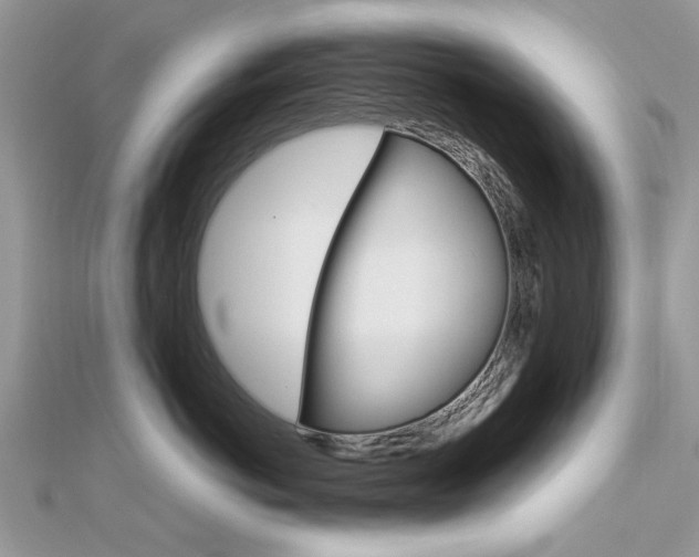 X0000113070766200908281010