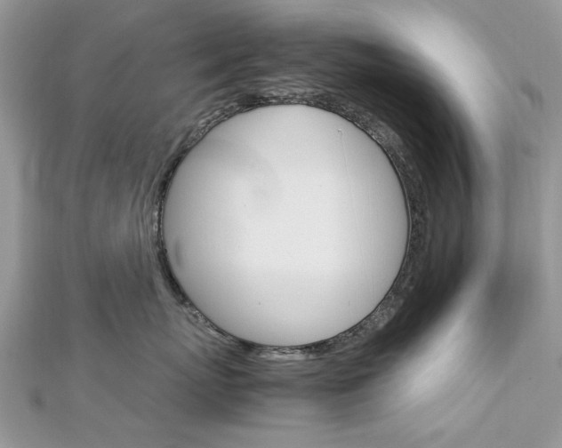 X0000113070767200908281010