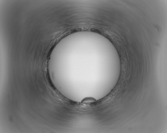 X0000113070768200908281010