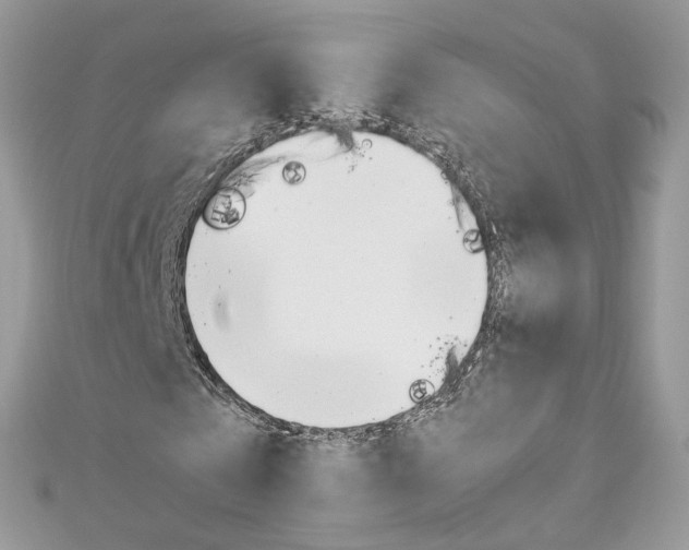 X0000113070769200908281009