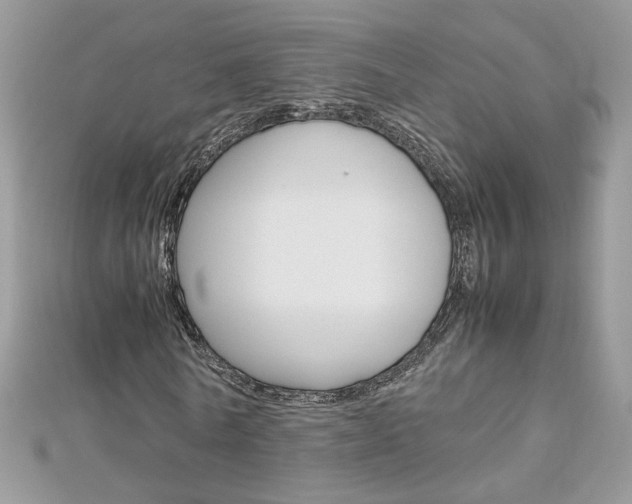 X0000113070770200908281009