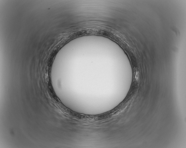X0000113070771200908281009