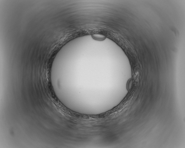 X0000113070772200908281009