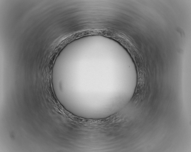 X0000113070773200908281009