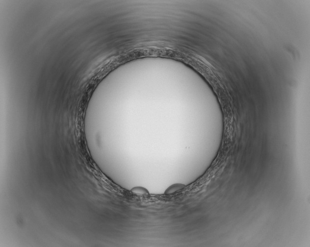 X0000113070774200908281009