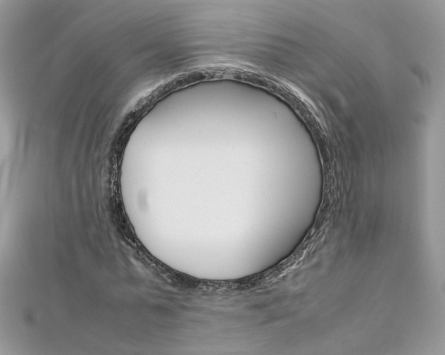 X0000113070775200908281009