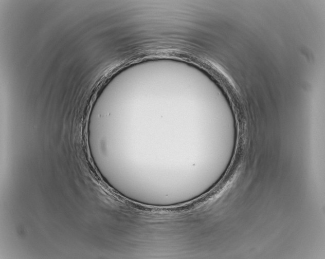 X0000113070777200908281009