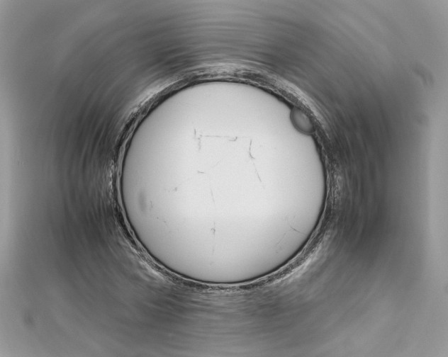 X0000113070778200908281009