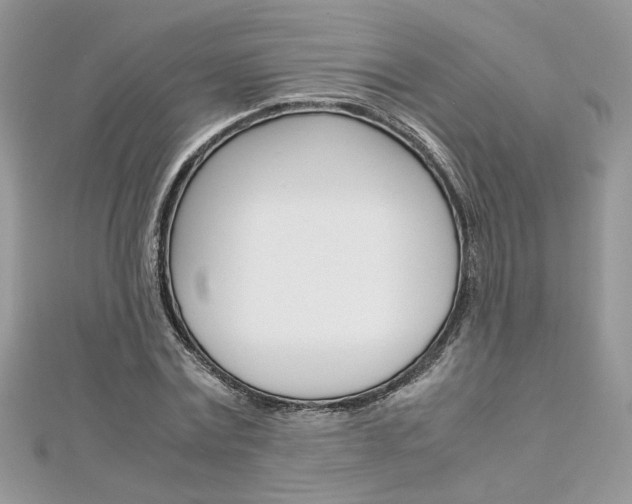 X0000113070779200908281009
