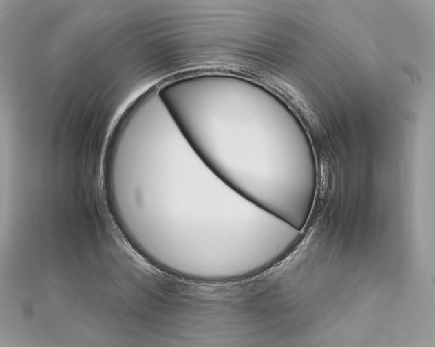 X0000113070780200908281009