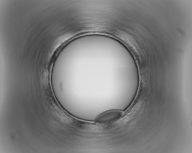 X0000113070781200908281009
