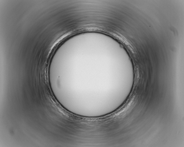 X0000113070782200908281009