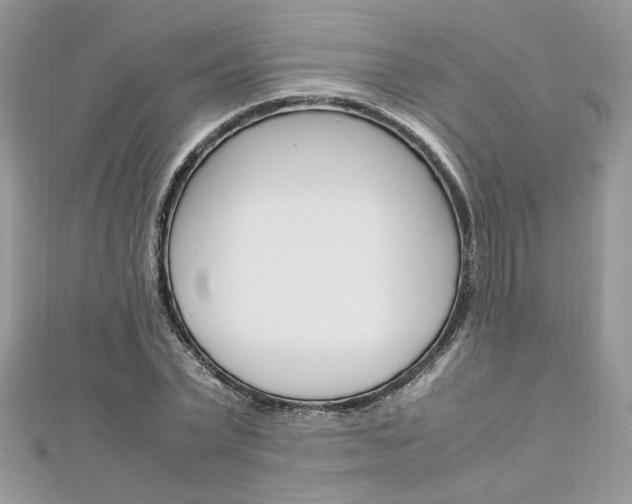 X0000113070783200908281009