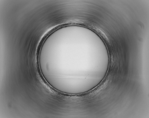 X0000113070784200908281009