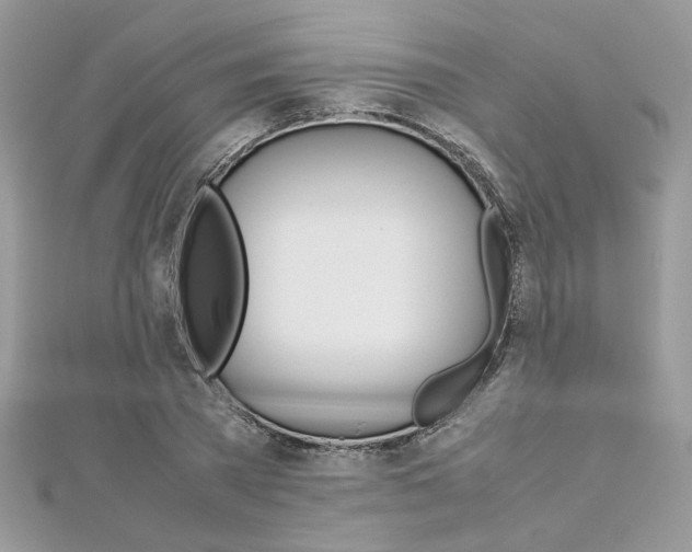 X0000113070785200908281009