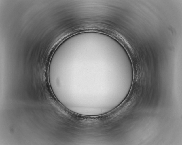 X0000113070786200908281009
