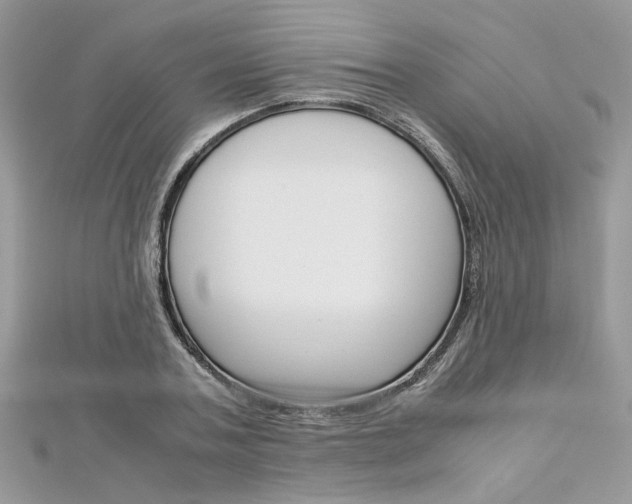 X0000113070787200908281009