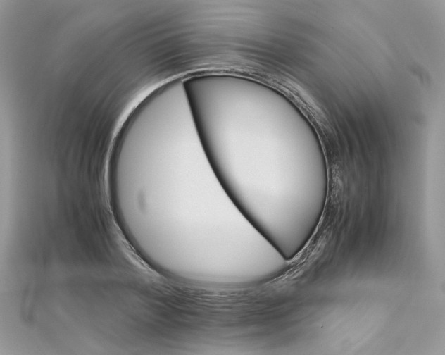 X0000113070788200908281009
