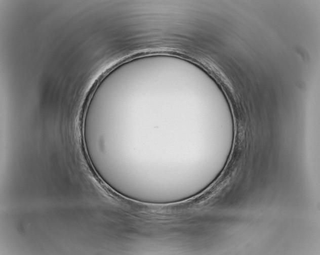 X0000113070789200908281009