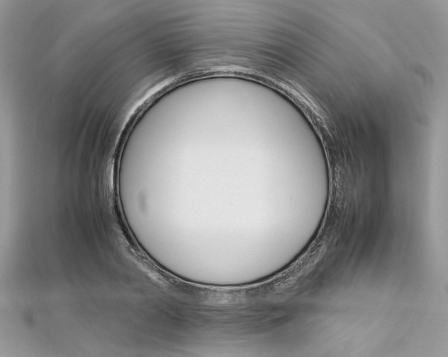 X0000113070790200908281009