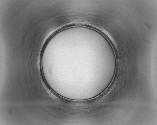 X0000113070791200908281009