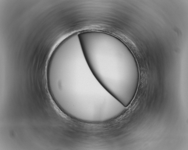 X0000113070792200908281009