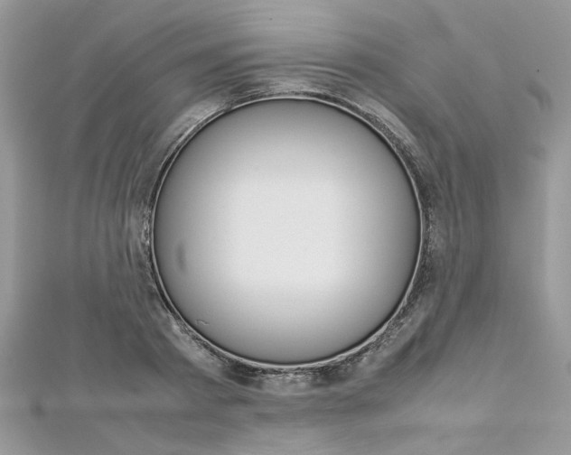 X0000113070793200908281009
