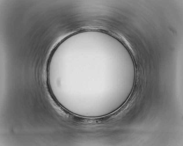 X0000113070795200908281009