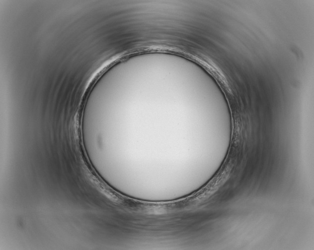 X0000113070798200908281009