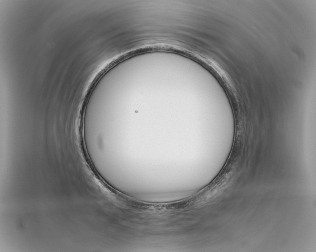 X0000113070799200908281009