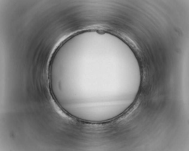 X0000113070800200908281009