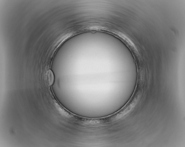 X0000113070801200908281009
