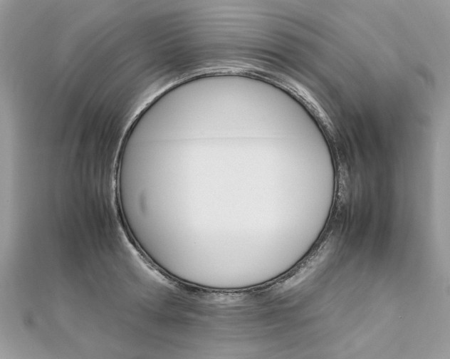 X0000113070802200908281009