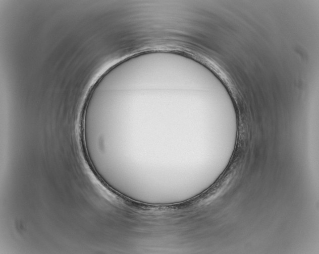 X0000113070803200908281009