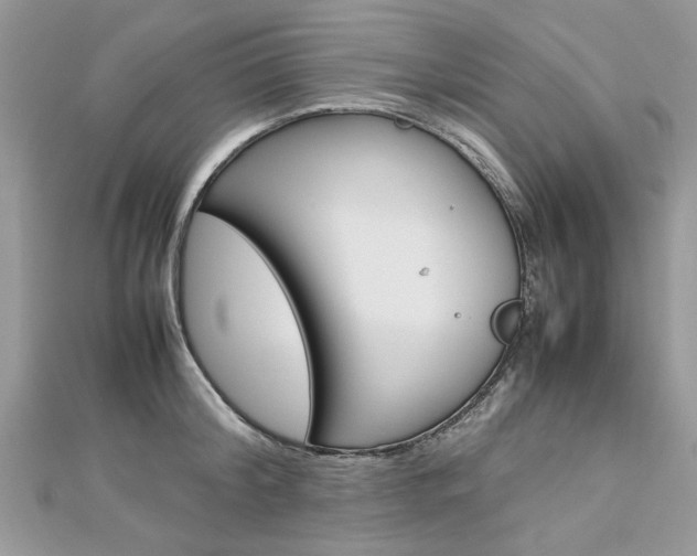X0000113070804200908281009