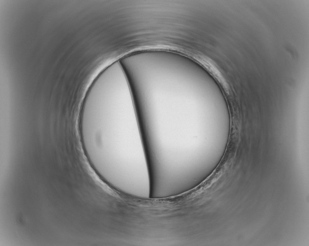 X0000113070805200908281009