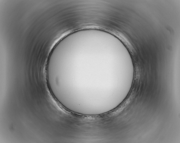 X0000113070806200908281009
