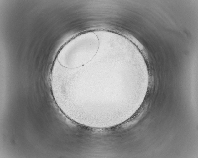 X0000113070807200908281009