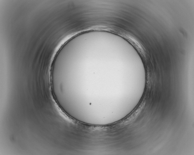 X0000113070808200908281009