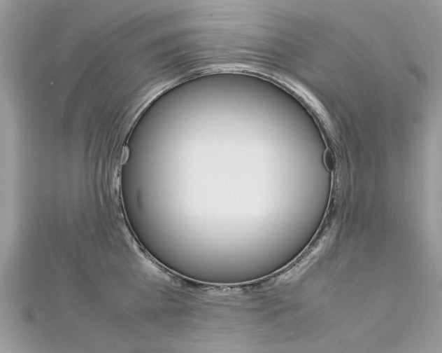 X0000113070809200908281009